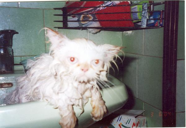 image010.jpg