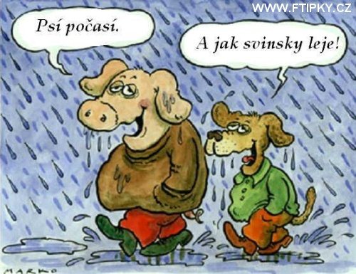 pes_a_prase_o_pocasi.jpg
